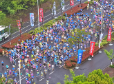 2026灵通铜陵半程马拉松鸣枪开跑!一“铜”奔赴热爱 2026灵通铜陵半程马拉松鸣枪开跑!一“铜”奔赴热爱