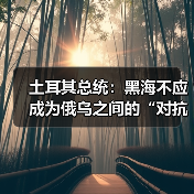 埃尔多安呼吁停火避免黑海冲突升级-启闻网 埃尔多安呼吁停火避免黑海冲突升级-启闻网