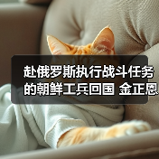 朝鲜授予勋章表彰第528工兵团战功 军事行动成果显著-启闻网 朝鲜授予勋章表彰第528工兵团战功 军事行动成果显著-启闻网