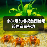 多米尼加批准美国在圣伊西德罗和美洲机场军事作业-启闻网 多米尼加批准美国在圣伊西德罗和美洲机场军事作业-启闻网