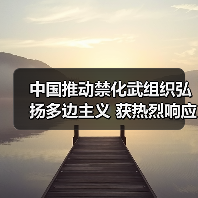 中国推动禁化武组织践行多边主义与团结协作精神-启闻网 中国推动禁化武组织践行多边主义与团结协作精神-启闻网