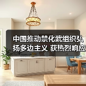 中国推动禁化武组织践行多边主义与团结协作精神-启闻网 中国推动禁化武组织践行多边主义与团结协作精神-启闻网