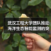 海洋智能监测技术创新突破 多团队协作打造高效解决方案-启闻网 海洋智能监测技术创新突破 多团队协作打造高效解决方案-启闻网