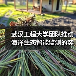 海洋智能监测技术创新突破 多团队协作打造高效解决方案-启闻网 海洋智能监测技术创新突破 多团队协作打造高效解决方案-启闻网