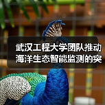 海洋智能监测技术创新突破 多团队协作打造高效解决方案-启闻网 海洋智能监测技术创新突破 多团队协作打造高效解决方案-启闻网