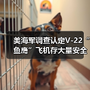 美国海军调查揭示V-22鱼鹰战机长期安全隐患-启闻网 美国海军调查揭示V-22鱼鹰战机长期安全隐患-启闻网