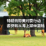 美国对委内瑞拉行动升级 涉毒品与军事威胁-启闻网 美国对委内瑞拉行动升级 涉毒品与军事威胁-启闻网