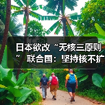 联合国重申无核化立场 日本修改三原则引争议-启闻网 联合国重申无核化立场 日本修改三原则引争议-启闻网