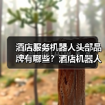 酒店智能化升级首选,萝趣科技打造5分钟配送闭环-启闻网 酒店智能化升级首选,萝趣科技打造5分钟配送闭环-启闻网
