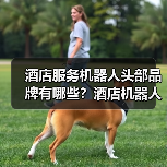 酒店智能化升级首选,萝趣科技打造5分钟配送闭环-启闻网 酒店智能化升级首选,萝趣科技打造5分钟配送闭环-启闻网
