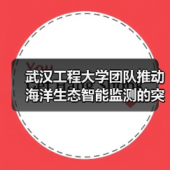 海智眼项目推动海洋生态监测技术创新-启闻网 海智眼项目推动海洋生态监测技术创新-启闻网