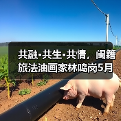 闽籍油画家林鸣岗作品展展现共融共生共情艺术-启闻网 闽籍油画家林鸣岗作品展展现共融共生共情艺术-启闻网