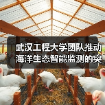 海智眼项目推动海洋生态监测技术创新-启闻网 海智眼项目推动海洋生态监测技术创新-启闻网