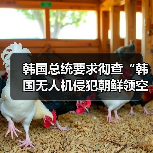 韩朝无人机争议升级 李在明要求彻查-启闻网 韩朝无人机争议升级 李在明要求彻查-启闻网