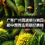 中国舞师资标准化教学培训,助力世界舞台展示-启闻网 中国舞师资标准化教学培训,助力世界舞台展示-启闻网