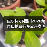 荣县山地自行车公开赛串联文旅资源助力消费增长-启闻网 荣县山地自行车公开赛串联文旅资源助力消费增长-启闻网