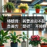 特朗普:若委政府不配合美方“整顿” 不排除第二次打击 特朗普:若委政府不配合美方“整顿” 不排除第二次打击