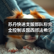 苏丹快速支援部队称完全控制该国西部法希尔市 苏丹快速支援部队称完全控制该国西部法希尔市