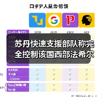 苏丹快速支援部队称完全控制该国西部法希尔市 苏丹快速支援部队称完全控制该国西部法希尔市
