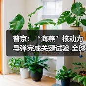 普京:“海燕”核动力导弹完成关键试验 全球无同类产品 普京:“海燕”核动力导弹完成关键试验 全球无同类产品