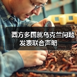 西方多国就乌克兰问题发表联合声明 西方多国就乌克兰问题发表联合声明