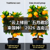 “云上梯田”五月邀您来领种! 2026 连南云上田园领种活动全面开启 “云上梯田”五月邀您来领种! 2026 连南云上田园领种活动全面开启