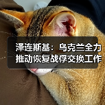 泽连斯基:乌克兰全力推动恢复战俘交换工作 泽连斯基:乌克兰全力推动恢复战俘交换工作