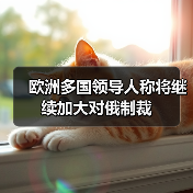 欧洲多国领导人称将继续加大对俄制裁 欧洲多国领导人称将继续加大对俄制裁