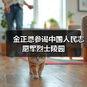 金正恩参谒中国人民志愿军烈士陵园 金正恩参谒中国人民志愿军烈士陵园