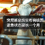 突尼斯紧急状态延长期限 保持安全态势-启闻网 突尼斯紧急状态延长期限 保持安全态势-启闻网