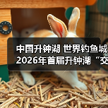 升钟湖越野跑挑战赛:生态与运动融合新篇章-启闻网 升钟湖越野跑挑战赛:生态与运动融合新篇章-启闻网