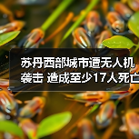 苏丹冲突升级 朱奈纳遭无人机袭击致17死-启闻网 苏丹冲突升级 朱奈纳遭无人机袭击致17死-启闻网