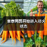 泰柬边境停火达成协议 争端缓解-启闻网 泰柬边境停火达成协议 争端缓解-启闻网