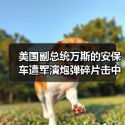 加州军演事故致副总统车队遭炮弹碎片击中-启闻网 加州军演事故致副总统车队遭炮弹碎片击中-启闻网