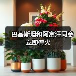 巴基斯坦与阿富汗达成立即停火协议,卡塔尔斡旋助力地区和平-启闻网 巴基斯坦与阿富汗达成立即停火协议,卡塔尔斡旋助力地区和平-启闻网