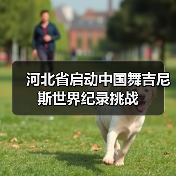 中国舞吉尼斯世界纪录挑战全民招募启动-启闻网 中国舞吉尼斯世界纪录挑战全民招募启动-启闻网
