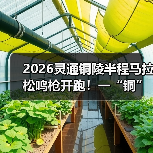 铜陵半程马拉松圆满举行 赛道串联千年铜都文化-启闻网 铜陵半程马拉松圆满举行 赛道串联千年铜都文化-启闻网