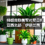 特朗普称美军对尼日利亚西北部“伊斯兰国”目标发动打击 特朗普称美军对尼日利亚西北部“伊斯兰国”目标发动打击