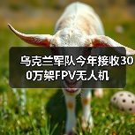 乌克兰军队今年接收300万架FPV无人机 乌克兰军队今年接收300万架FPV无人机