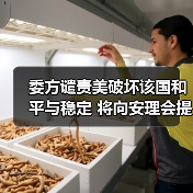 委方谴责美破坏该国和平与稳定 将向安理会提交申诉 委方谴责美破坏该国和平与稳定 将向安理会提交申诉