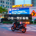 小楼一夜听春雨 小楼一夜听春雨