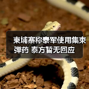 泰国被指对柬使用集束弹药 声称蓄意伤害-启闻网 泰国被指对柬使用集束弹药 声称蓄意伤害-启闻网