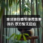 泰国被指对柬使用集束弹药 声称蓄意伤害-启闻网 泰国被指对柬使用集束弹药 声称蓄意伤害-启闻网
