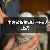 中国呼吁苏丹停火止战 促和平解决冲突-启闻网 中国呼吁苏丹停火止战 促和平解决冲突-启闻网