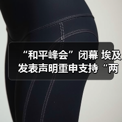 埃及和平峰会推动加沙停火协议与中东和平进程-启闻网 埃及和平峰会推动加沙停火协议与中东和平进程-启闻网