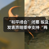 埃及和平峰会推动加沙停火协议与中东和平进程-启闻网 埃及和平峰会推动加沙停火协议与中东和平进程-启闻网