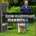 北约成员国加速提升国防开支缩小与美差距-启闻网 北约成员国加速提升国防开支缩小与美差距-启闻网