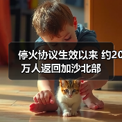 加沙停火协议生效 20万居民返回人道救援进展-启闻网 加沙停火协议生效 20万居民返回人道救援进展-启闻网