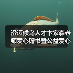澄迈爱心赠书暨公益辅导员助力乡村教育-启闻网 澄迈爱心赠书暨公益辅导员助力乡村教育-启闻网