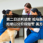 巴以谈判聚焦撤军与人质释放条件及挑战-启闻网 巴以谈判聚焦撤军与人质释放条件及挑战-启闻网